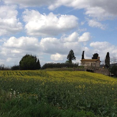 Vila Gli Ulivi D'Argento Assisi Exteriér fotografie