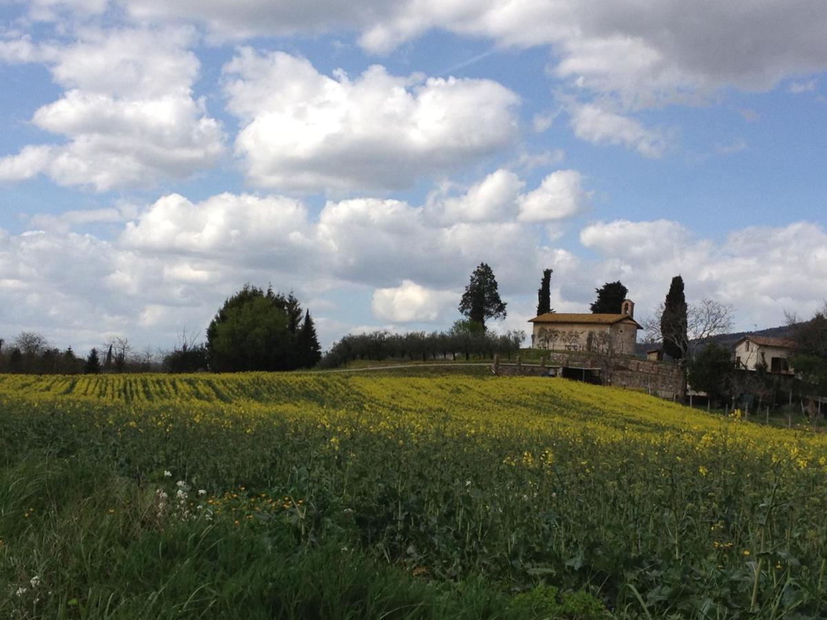 Vila Gli Ulivi D'Argento Assisi Exteriér fotografie